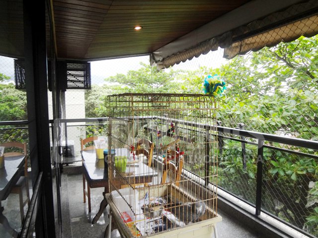 Foto 7
