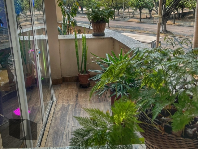 Foto 20