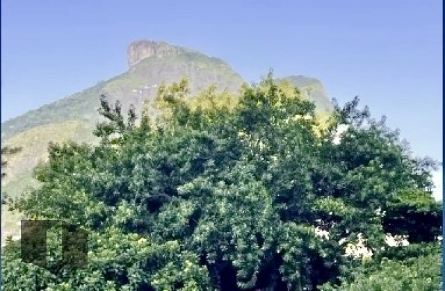 Apartamento na Barra da Tijuca