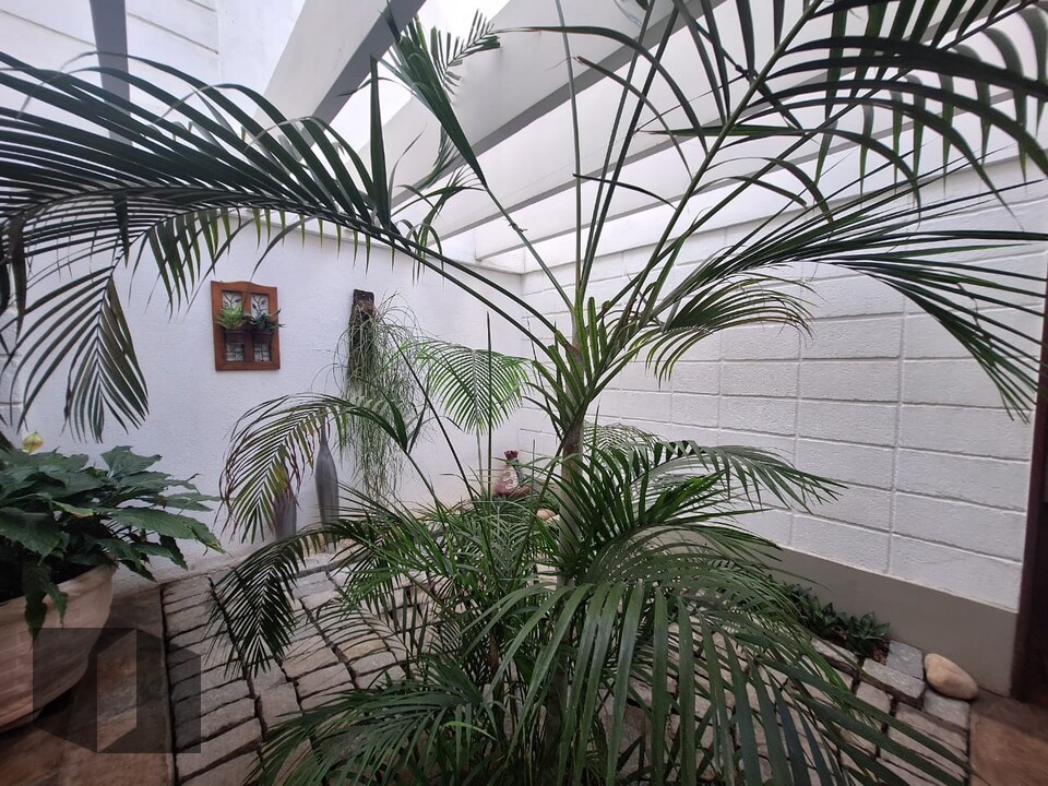Foto 19