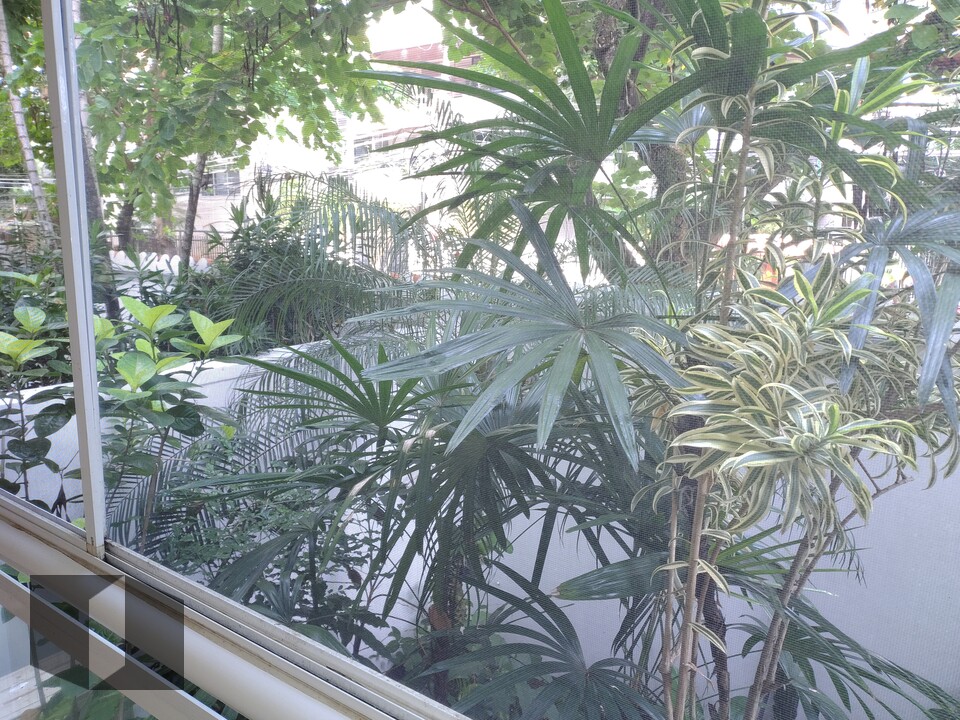 Casa, 4 quartos, 273 m² - Foto 11