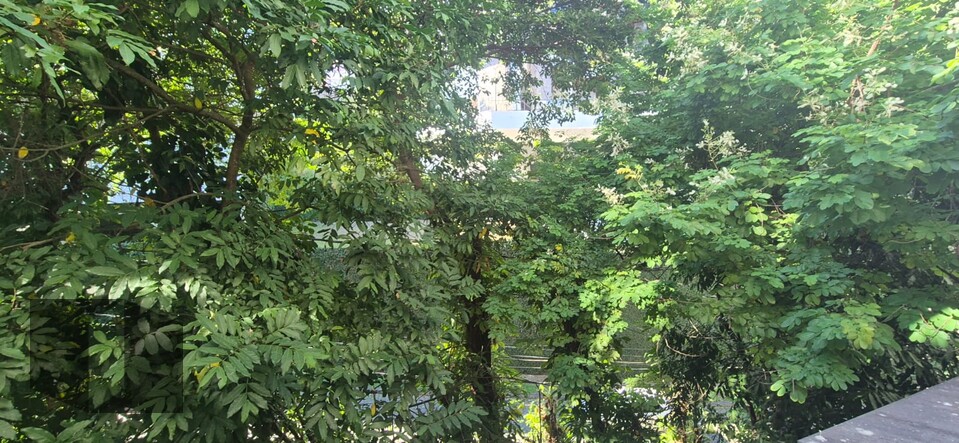 Apartamento, 1 quarto, 156 m² - Foto 21