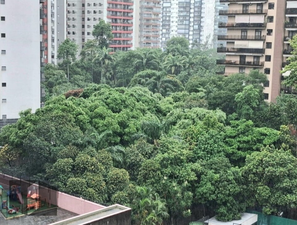 Foto 8