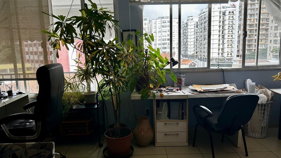 Foto 5