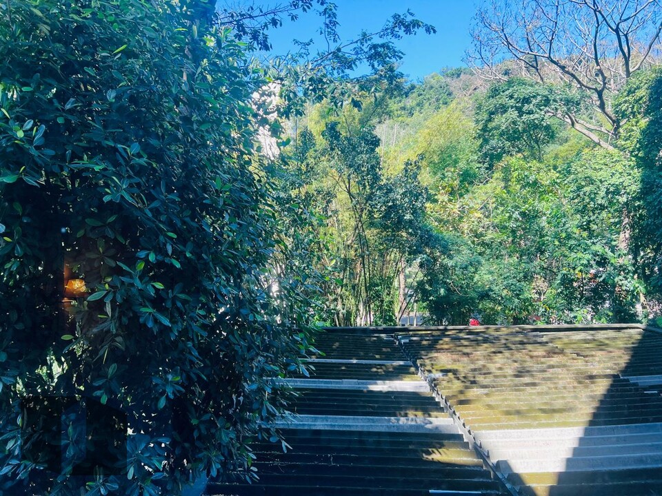 Foto 16